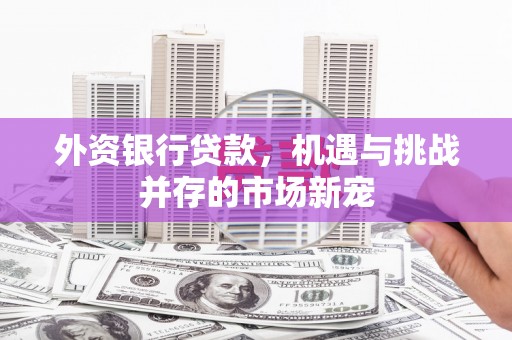 郑州外资银行贷款，机遇与挑战并存的市场新宠