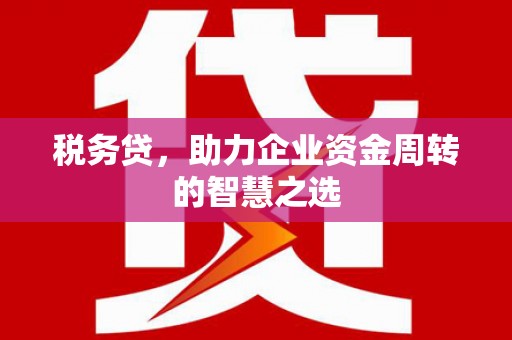 郑州税务贷，助力企业资金周转的智慧之选