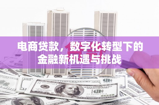 郑州电商贷款，数字化转型下的金融新机遇与挑战