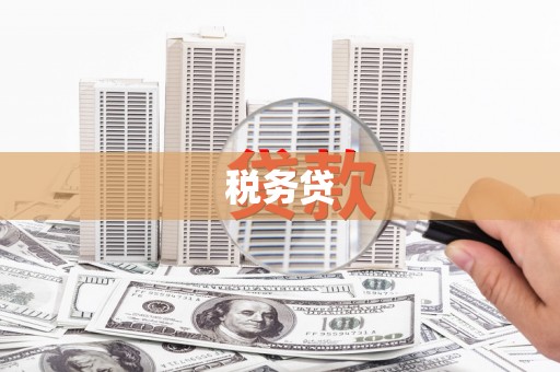 郑州税务贷