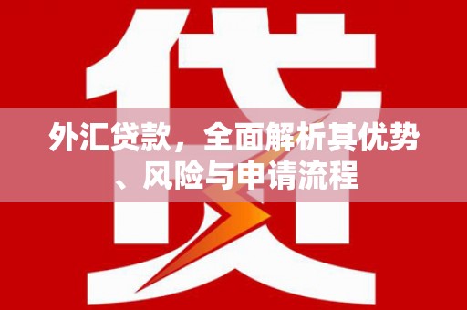 郑州外汇贷款，全面解析其优势、风险与申请流程