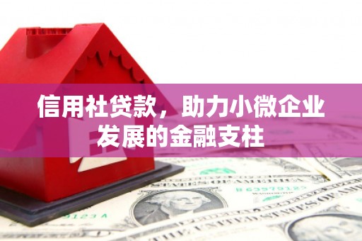 郑州信用社贷款，助力小微企业发展的金融支柱