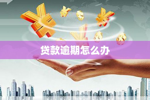 郑州贷款逾期怎么办