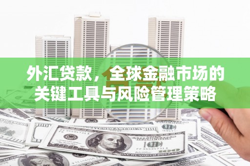 郑州外汇贷款，全球金融市场的关键工具与风险管理策略