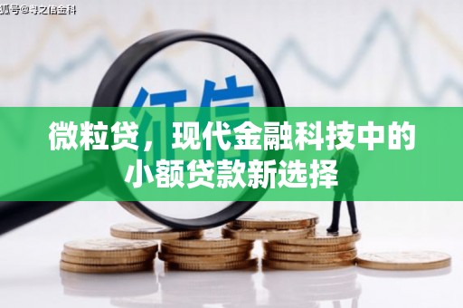 郑州微粒贷，现代金融科技中的小额贷款新选择