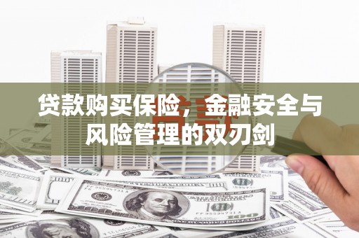 郑州贷款购买保险，金融安全与风险管理的双刃剑
