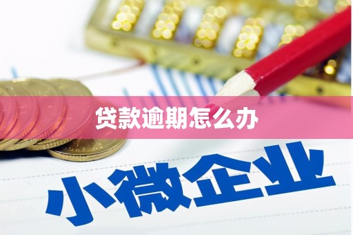 郑州贷款逾期怎么办