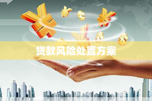 郑州贷款风险处置方案