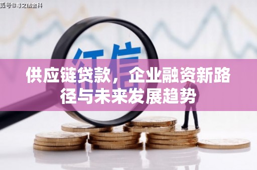 郑州供应链贷款，企业融资新路径与未来发展趋势