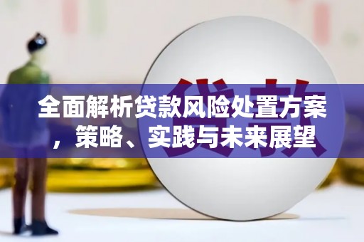 郑州全面解析贷款风险处置方案，策略、实践与未来展望
