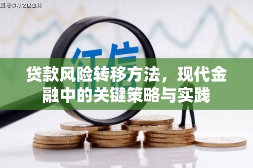 郑州贷款风险转移方法，现代金融中的关键策略与实践