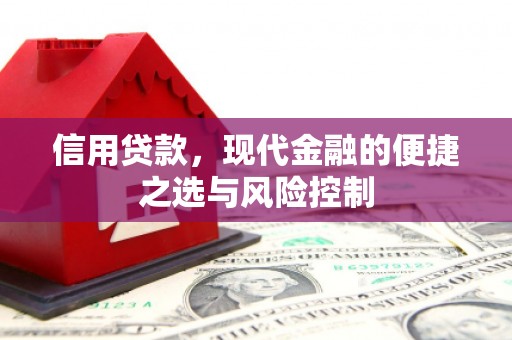 郑州信用贷款，现代金融的便捷之选与风险控制