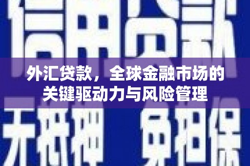 郑州外汇贷款，全球金融市场的关键驱动力与风险管理