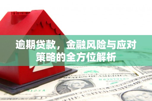 郑州逾期贷款，金融风险与应对策略的全方位解析