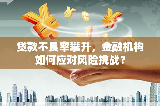 郑州贷款不良率攀升，金融机构如何应对风险挑战？