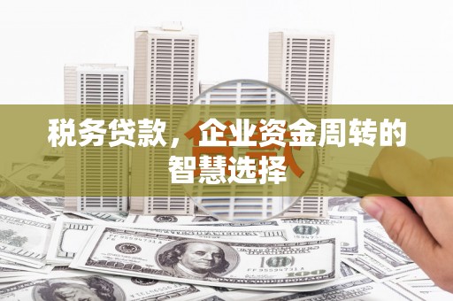 郑州税务贷款，企业资金周转的智慧选择