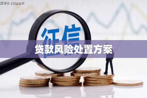郑州贷款风险处置方案