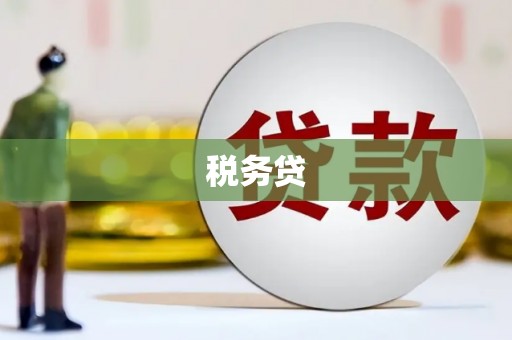 郑州税务贷