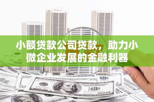 郑州小额贷款公司贷款，助力小微企业发展的金融利器