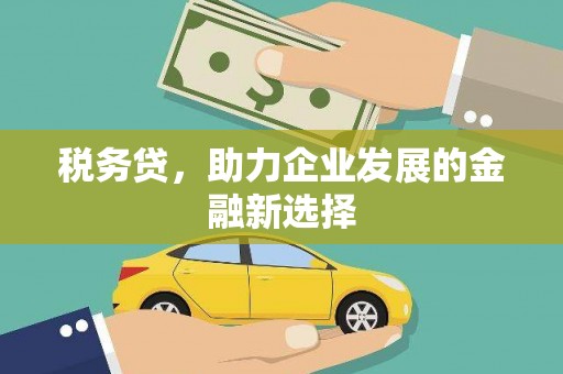 郑州税务贷，助力企业发展的金融新选择