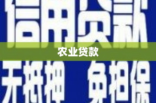 郑州农业贷款