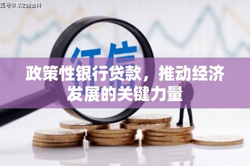 郑州政策性银行贷款，推动经济发展的关键力量