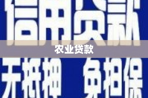 郑州农业贷款