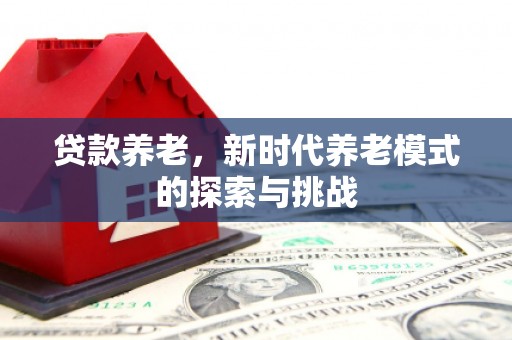 郑州贷款养老，新时代养老模式的探索与挑战