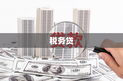 郑州税务贷