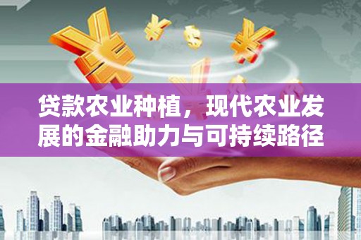 郑州贷款农业种植，现代农业发展的金融助力与可持续路径