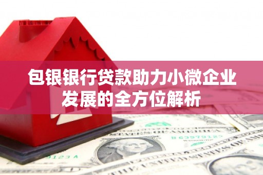 郑州包银银行贷款助力小微企业发展的全方位解析