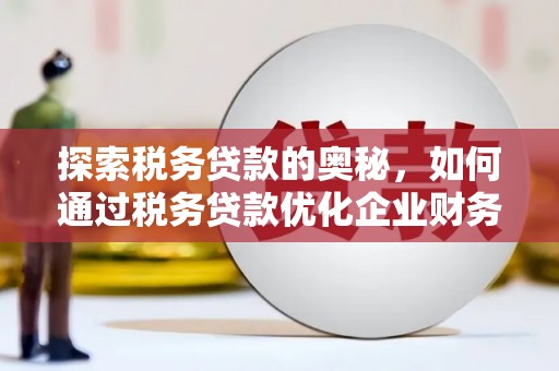 郑州探索税务贷款的奥秘，如何通过税务贷款优化企业财务