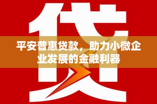 郑州平安普惠贷款，助力小微企业发展的金融利器