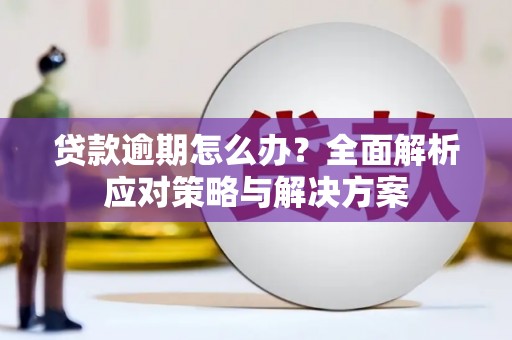 郑州贷款逾期怎么办？全面解析应对策略与解决方案