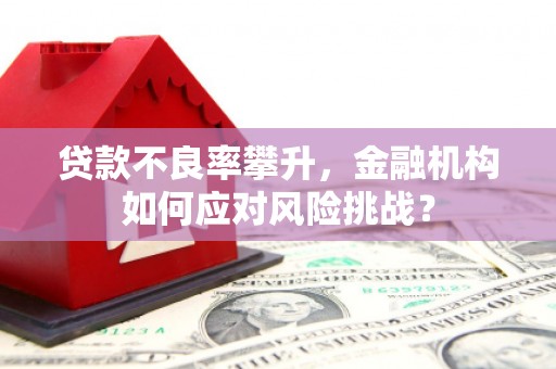 郑州贷款不良率攀升，金融机构如何应对风险挑战？
