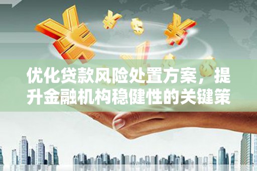 郑州优化贷款风险处置方案，提升金融机构稳健性的关键策略