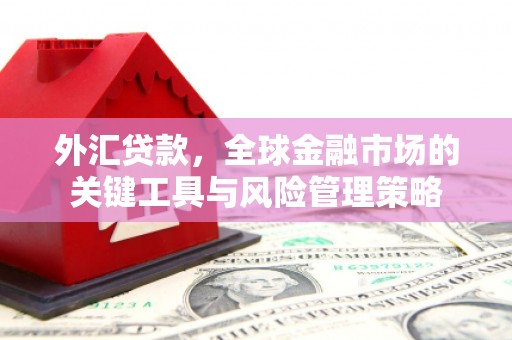 郑州外汇贷款，全球金融市场的关键工具与风险管理策略
