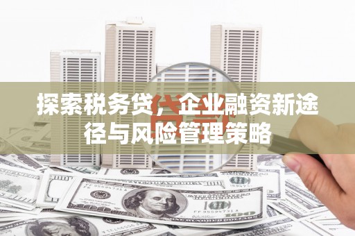 郑州探索税务贷，企业融资新途径与风险管理策略