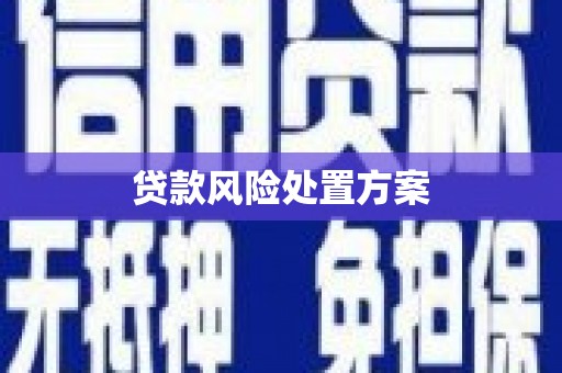 郑州贷款风险处置方案