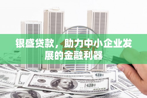 郑州银盛贷款，助力中小企业发展的金融利器