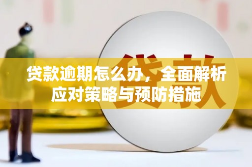 郑州贷款逾期怎么办，全面解析应对策略与预防措施