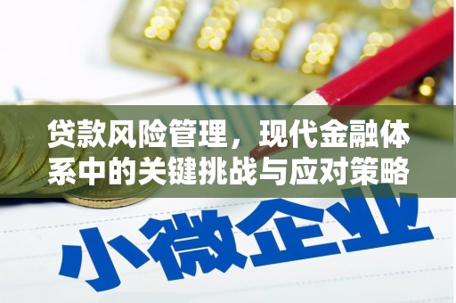 郑州贷款风险管理，现代金融体系中的关键挑战与应对策略