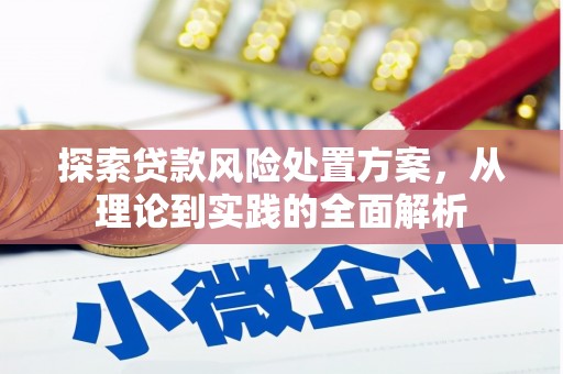 郑州探索贷款风险处置方案，从理论到实践的全面解析
