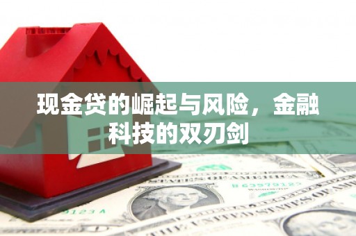郑州现金贷的崛起与风险，金融科技的双刃剑