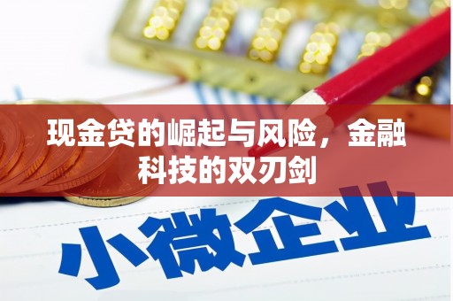 郑州现金贷的崛起与风险，金融科技的双刃剑