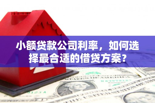 郑州小额贷款公司利率，如何选择最合适的借贷方案？