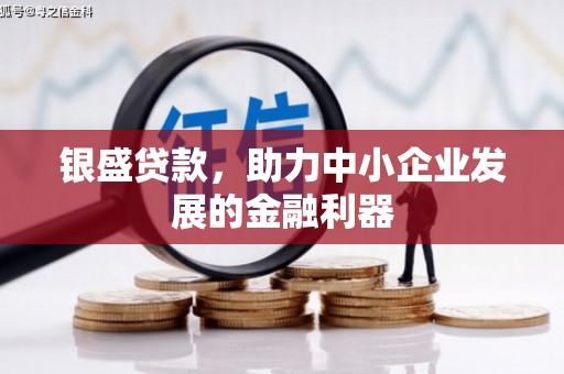 郑州银盛贷款，助力中小企业发展的金融利器