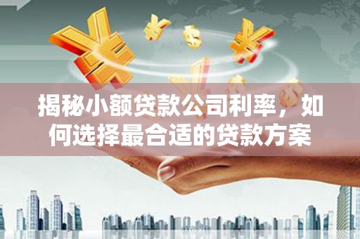 郑州揭秘小额贷款公司利率，如何选择最合适的贷款方案