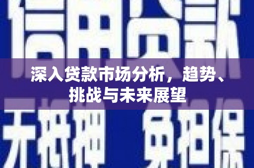 郑州深入贷款市场分析，趋势、挑战与未来展望