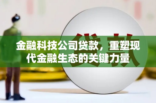 郑州金融科技公司贷款，重塑现代金融生态的关键力量